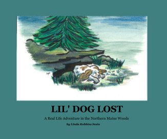 LIL' DOG LOST book cover