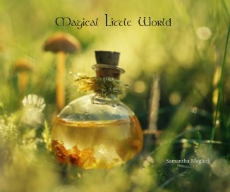 Magical Little World Samantha Meglioli book cover