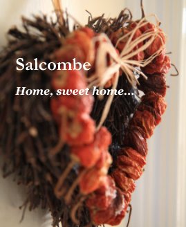 Salcombe book cover