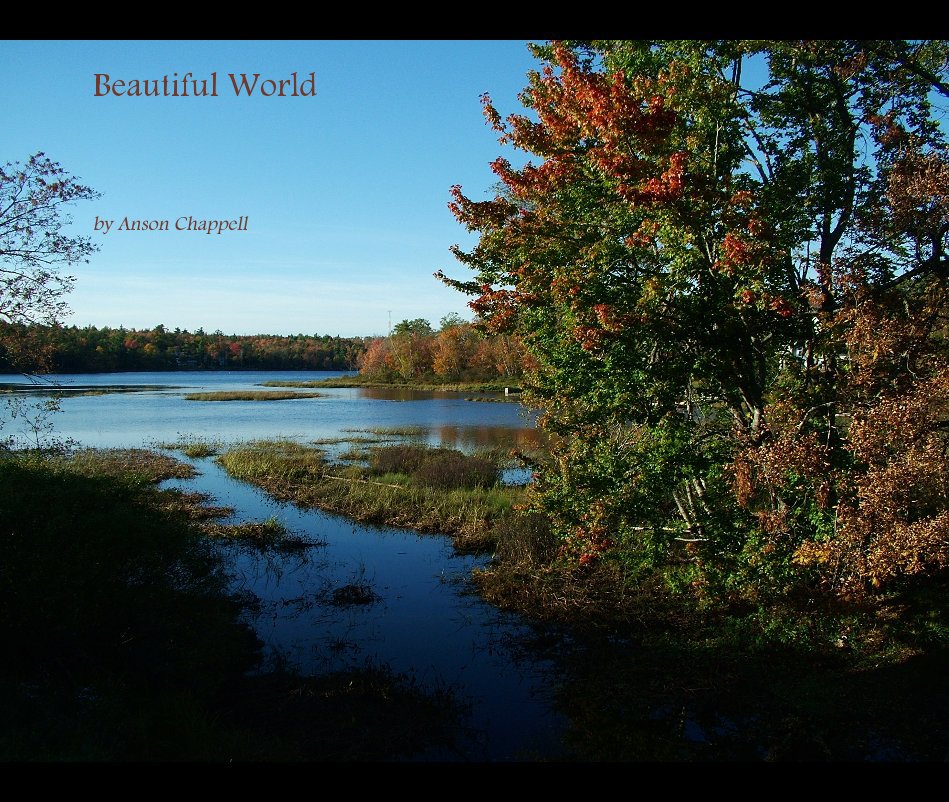 View Beautiful World by Anson Chappell