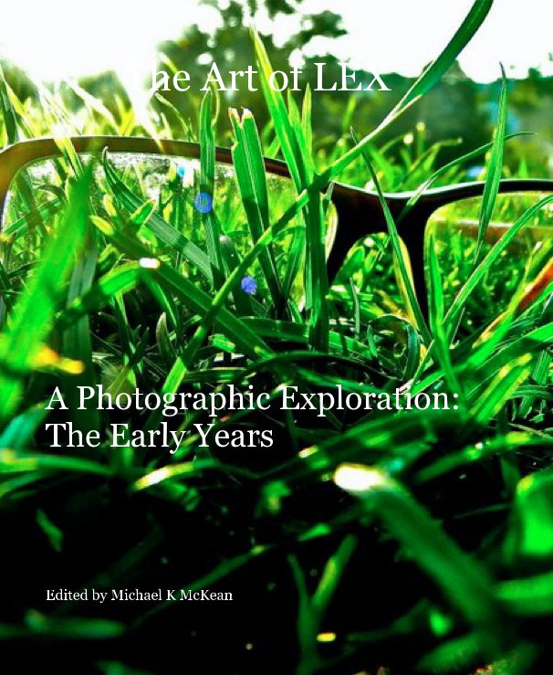 Visualizza The Art of LEX di Edited by Michael K McKean