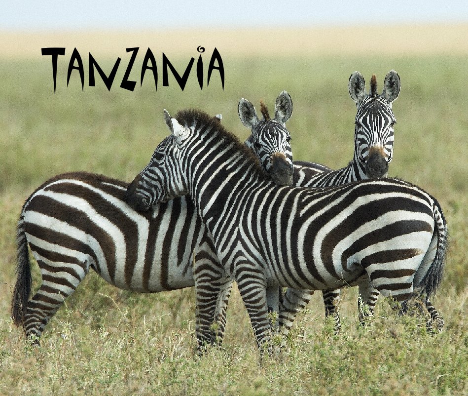 Visualizza Tanzania di dweerden