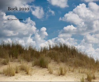 Boek 2010 book cover