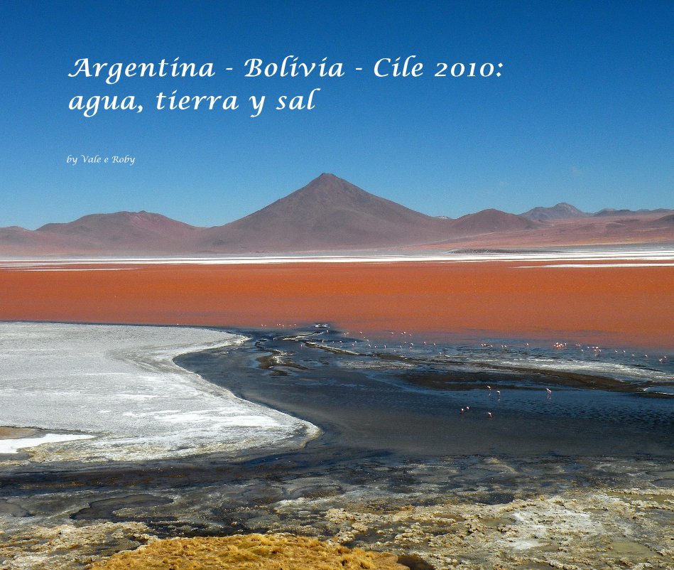 Ver Argentina - Bolivia - Cile 2010: agua, tierra y sal por Vale e Roby