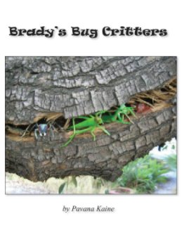 Brady's Bug Critters book cover
