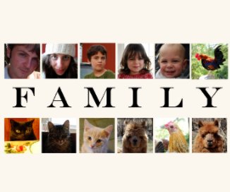 Family Album 2010 book cover