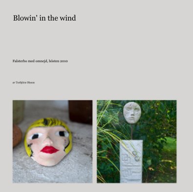 Blowin' in the wind book cover