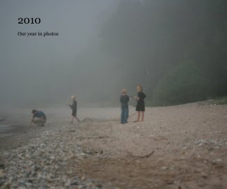 2010 book cover