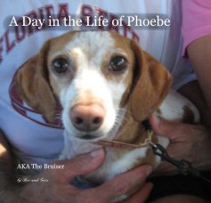 A Day in the Life of Phoebe book cover