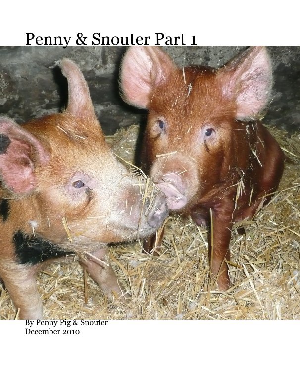 View Penny & Snouter Part 1 by Penny Pig & Snouter December 2010