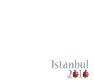Istanbul 2010 book cover