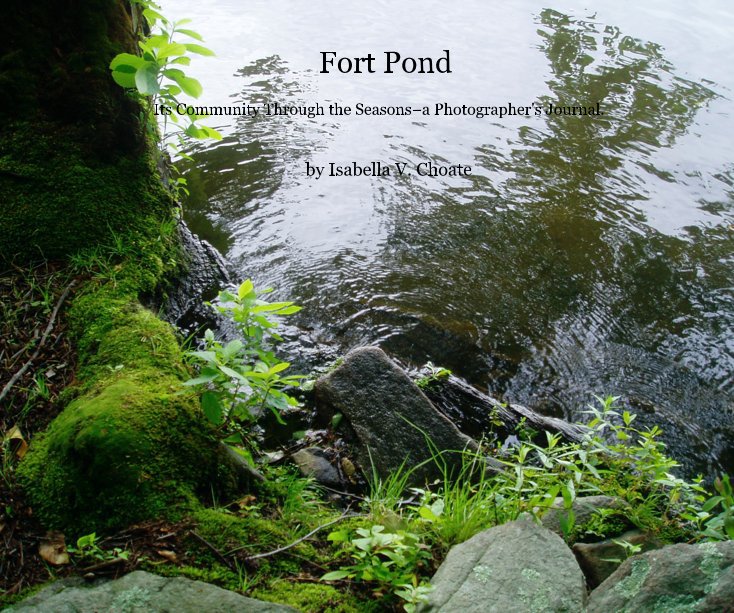 View Fort Pond by Isabella V. Choate