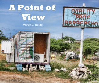 A Point of View book cover