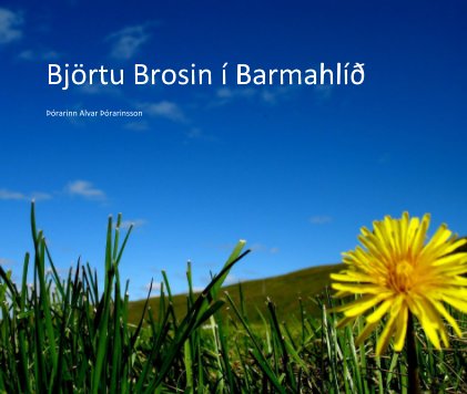 Björtu Brosin í Barmahlíð book cover