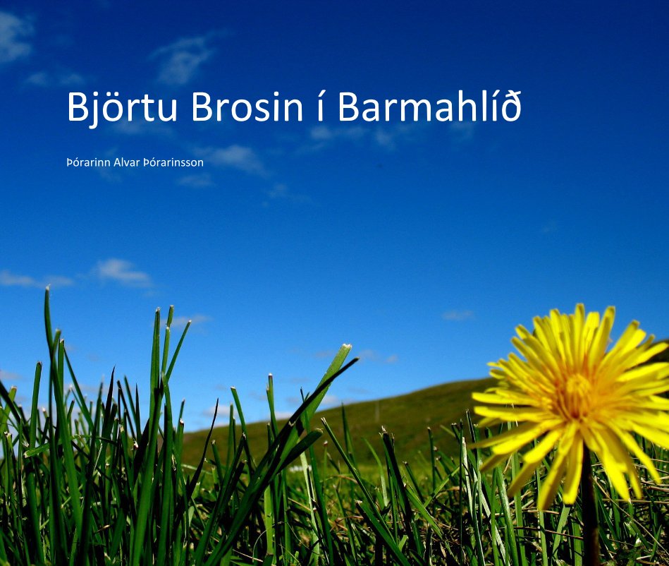 Ver Björtu Brosin í Barmahlíð por Þórarinn Alvar Þórarinsson