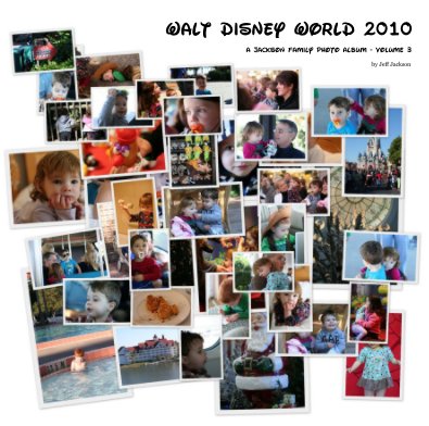 Walt Disney World 2010 book cover