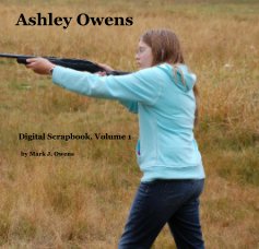Ashley Owens book cover