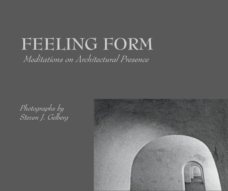 View Feeling Form by Steven J Gelberg
