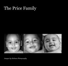 The Price Family book cover