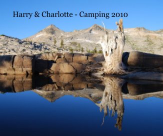 Harry & Charlotte - Camping 2010 book cover