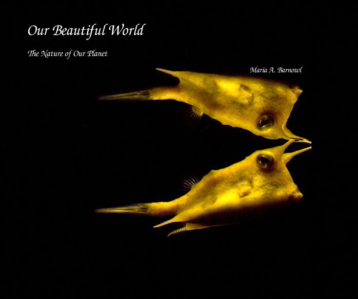 View Our Beautiful World by Maria A. Barnowl