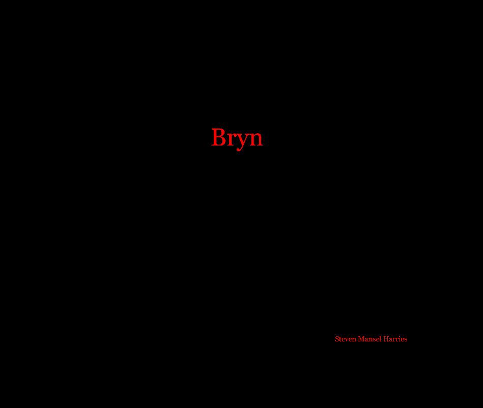View Bryn by Steven Mansel Harries