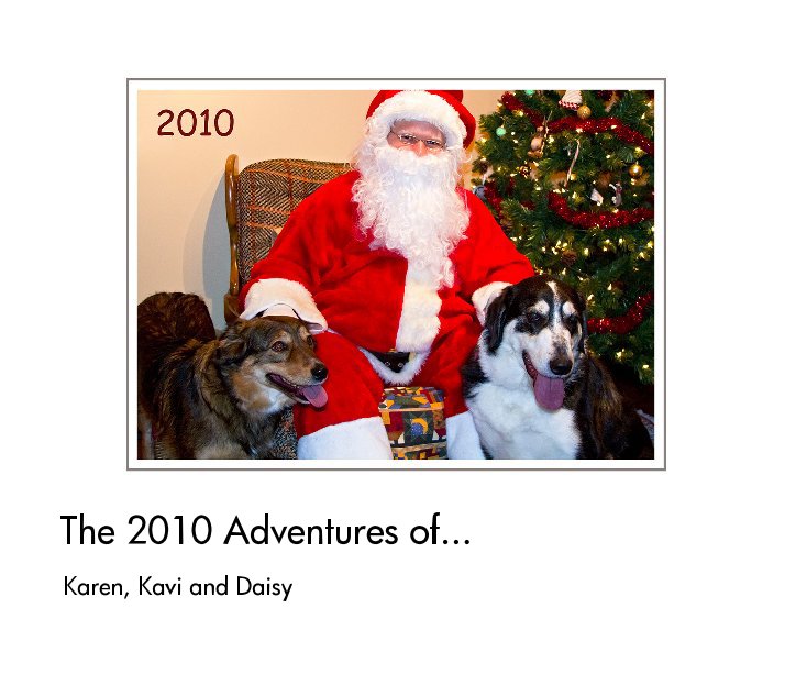 View The 2010 Adventures of... by Karen, Kavi and Daisy
