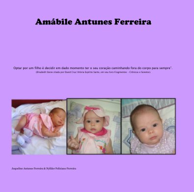 Amábile Antunes Ferreira book cover