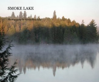 SMOKE LAKE book cover