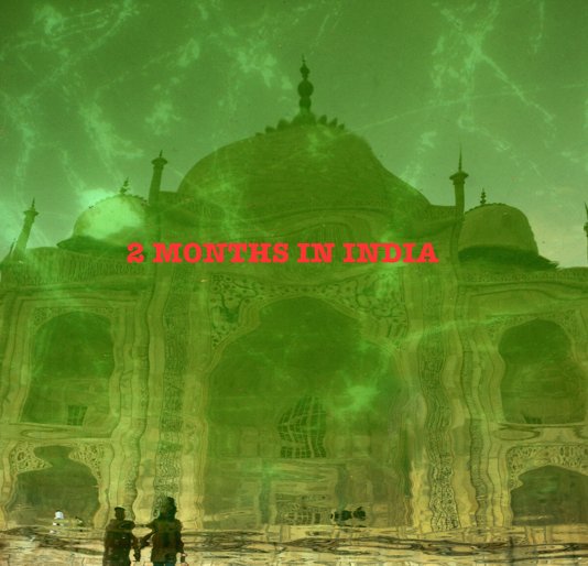 View 2 MONTHS IN INDIA by Steven S. Miric