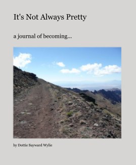 It's Not Always Pretty book cover