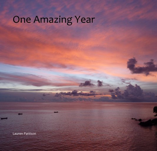 View One Amazing Year by Lauren Pattison