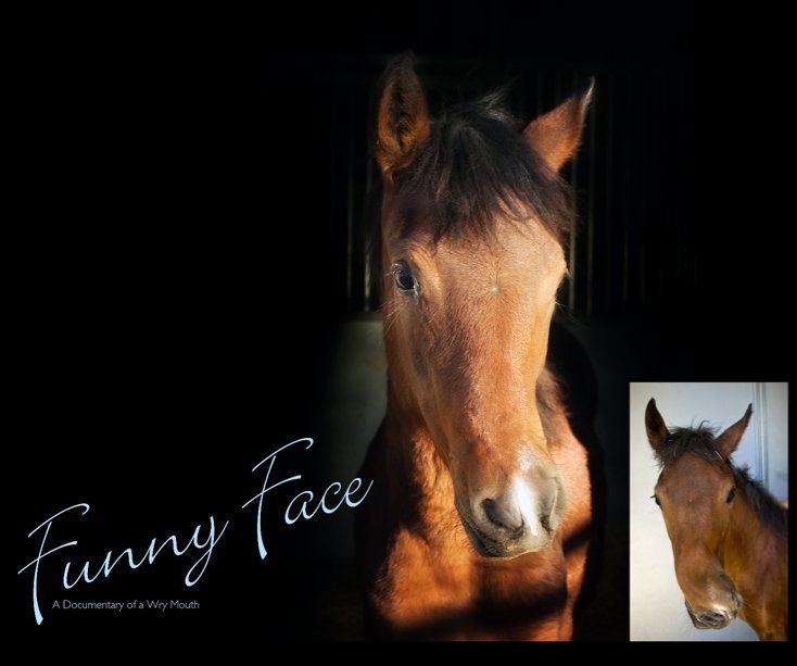 View Funny Face by Cristy Cumberworth