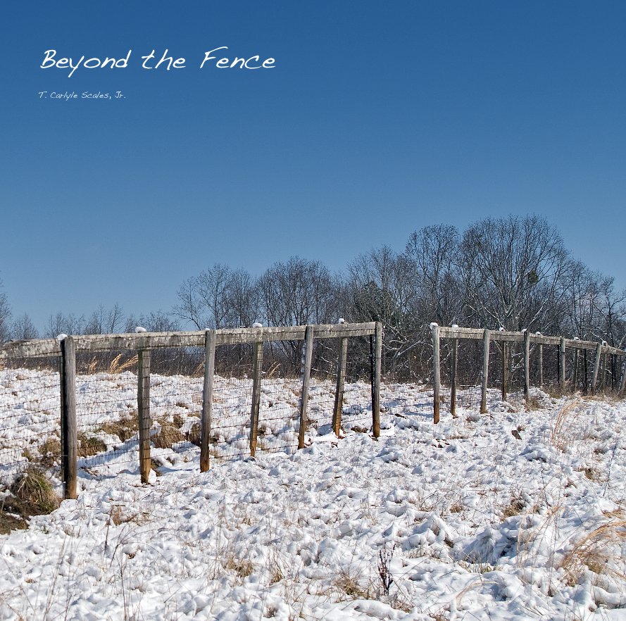 Bekijk Beyond the Fence op T. Carlyle Scales, Jr.