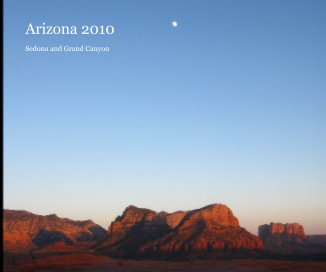 Arizona 2010 book cover