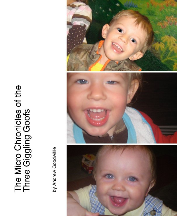 View The Micro Chronicles of the Three Giggling Goofs by Andrew Goodwillie