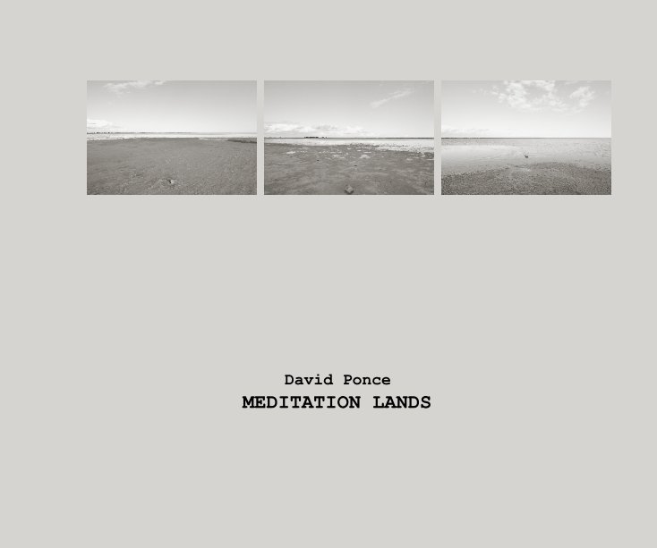 View MEDITATION LANDS by David Ponce