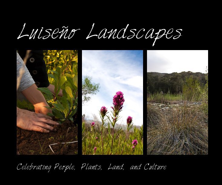 View Luiseño Landscapes by CSUSM Students: Art, Anthro, Poli Sci, and Soc