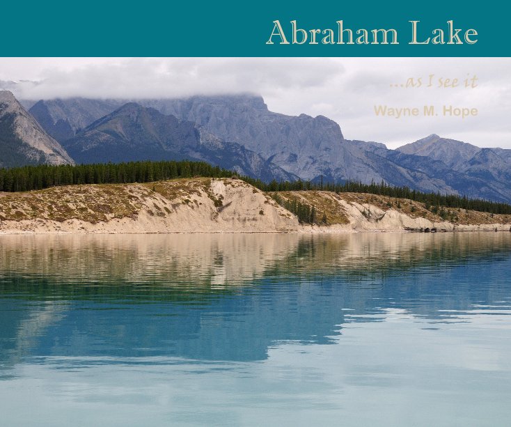 View Abraham Lake by Wayne M. Hope