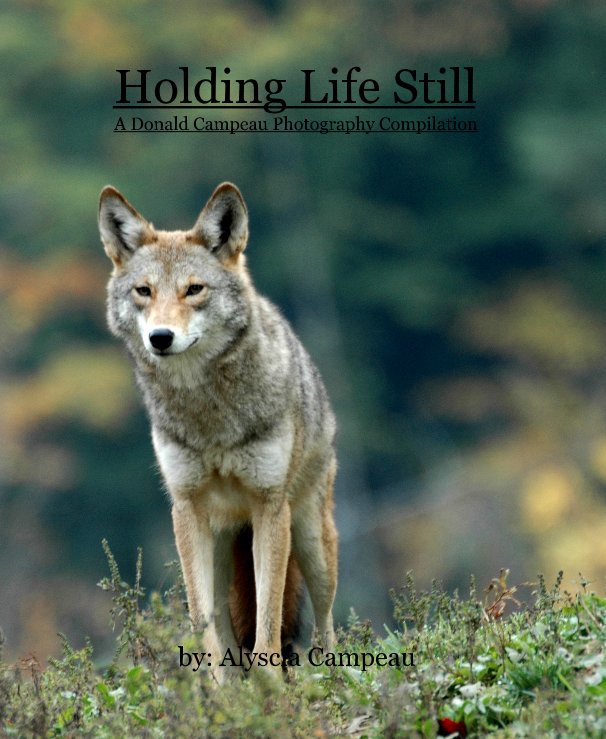 Ver Holding Life Still A Donald Campeau Photography Compilation por by: Alyscia Campeau