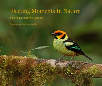 Fleeting Moments In Nature (13x11) book cover