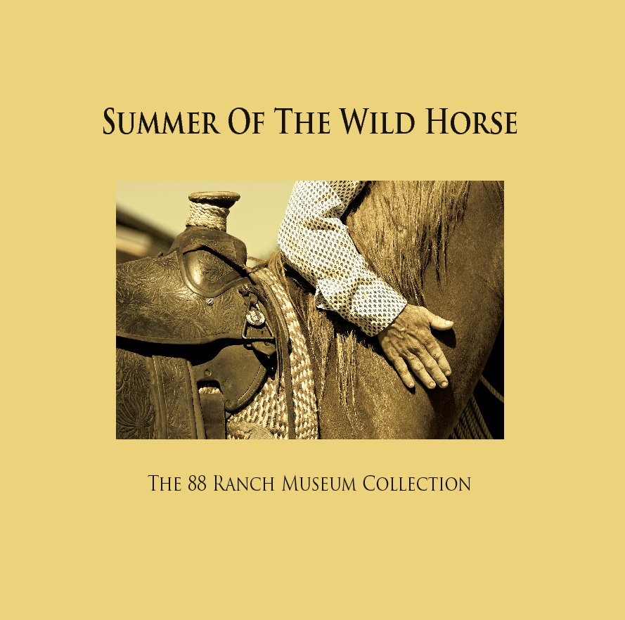 View Summer of the Wild Horse by Cecilia Steel