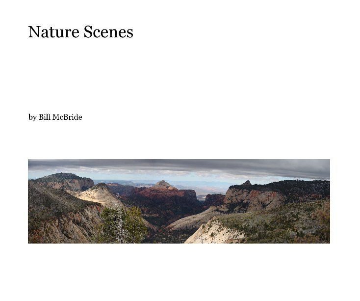View Nature Scenes by Bill McBride
