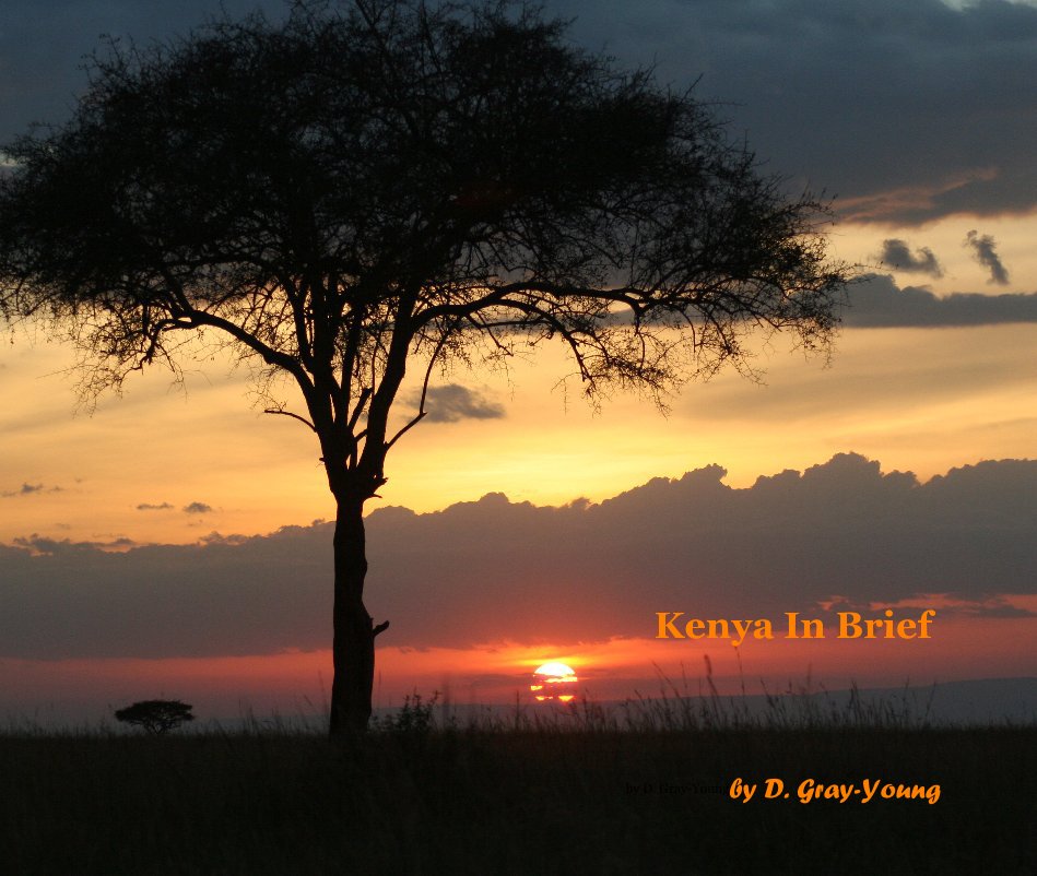 View Kenya In Brief by D. Gray-Young