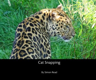 Cat Snapping book cover