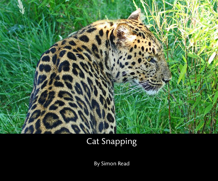View Cat Snapping by Simon Read