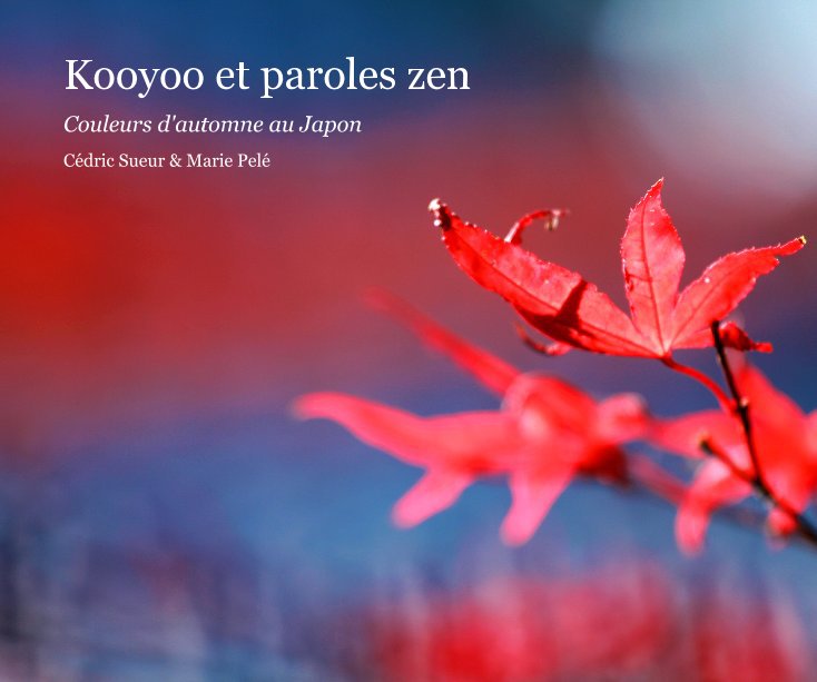 Bekijk Kooyoo et paroles zen op Cédric Sueur