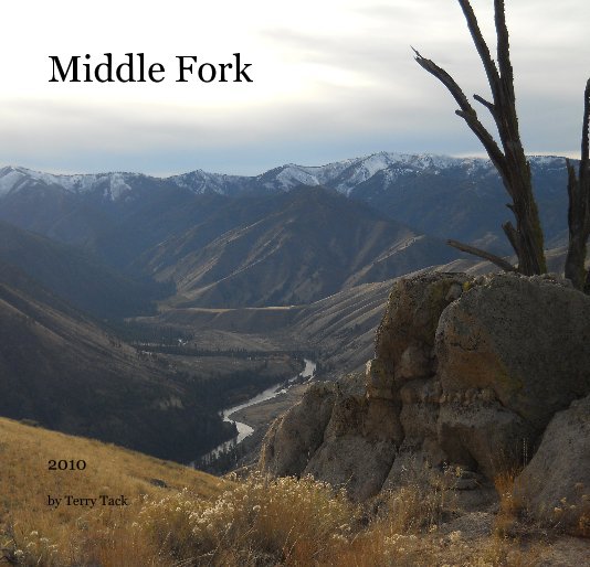 View Middle Fork by Terry Tack
