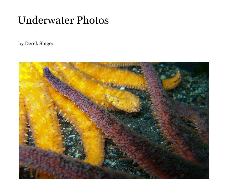 View Underwater Photos by Derek Singer