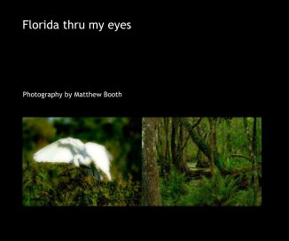 Florida thru my eyes book cover